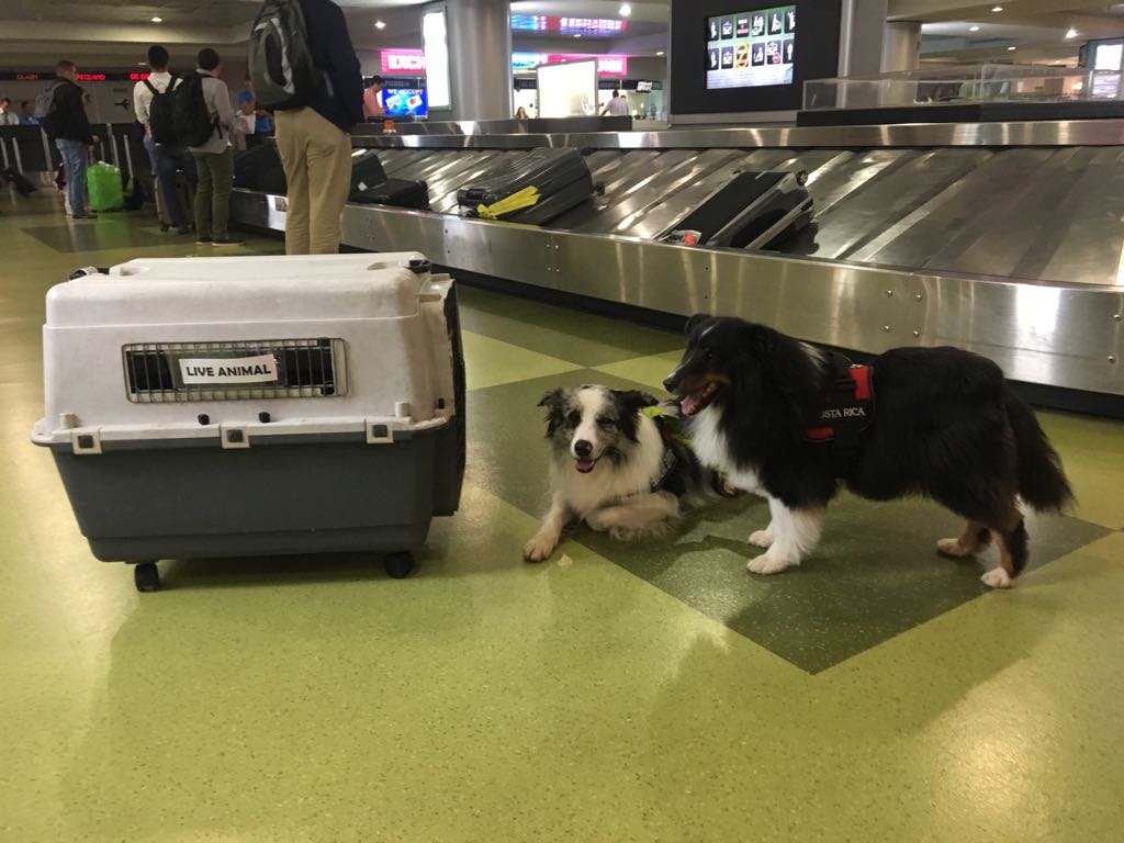 WhatsApp Image 2018-08-29 at 23.58.31