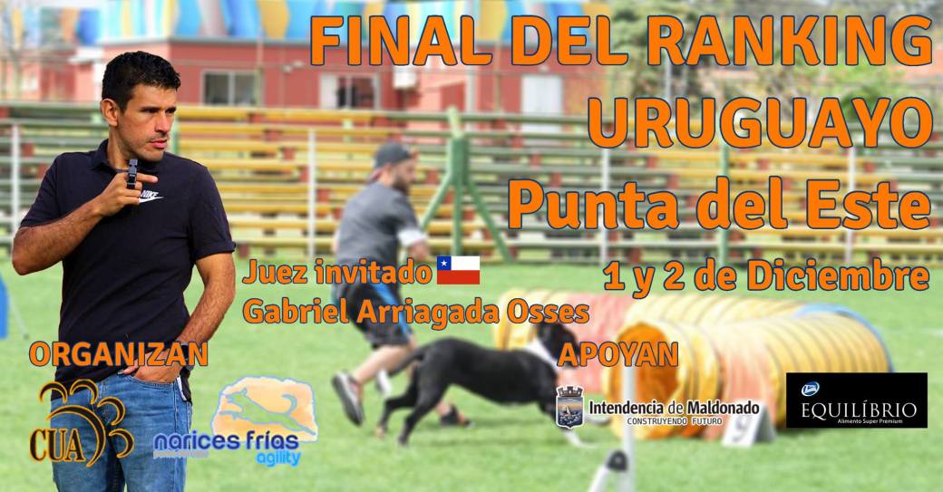 44594461_2037101329644004_1688205026759016448_o