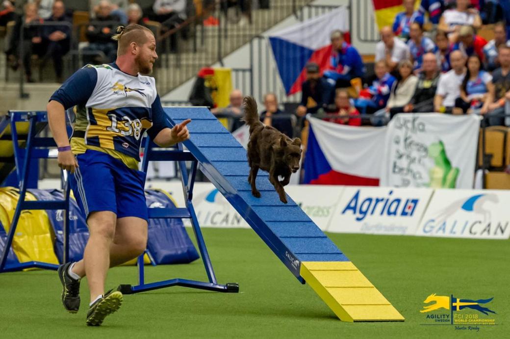 WhatsApp Image 2018-10-25 at 14.23.34