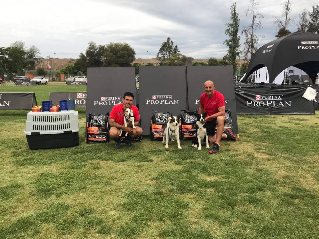 WhatsApp Image 2018-11-05 at 21.39.16 (1)