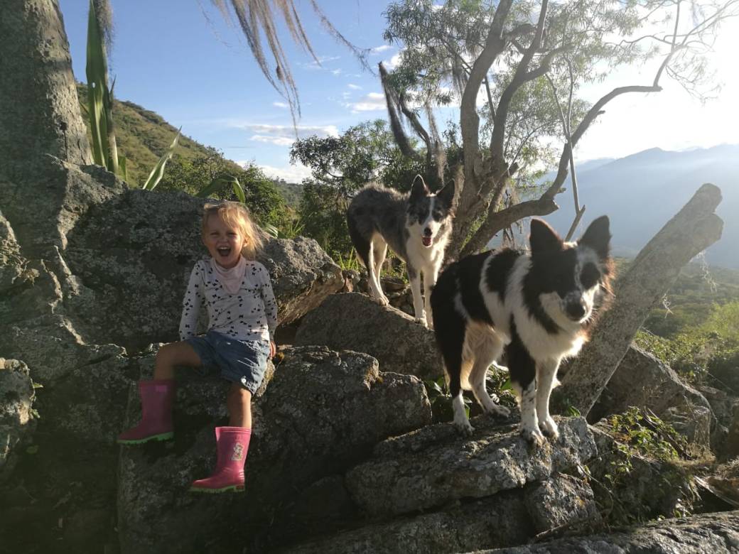 WhatsApp Image 2018-11-19 at 14.32.45